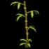 Bambootree
