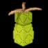 Baobab