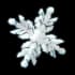 Bushflake