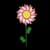 Candy Sun Flower