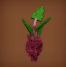 Evo 3 Beetroot