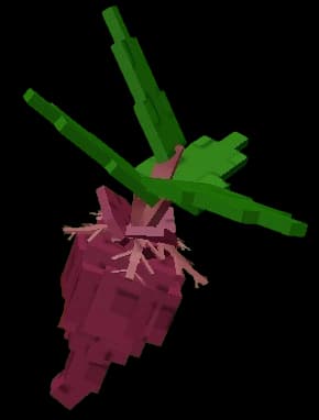 Evo 4 Beetroot
