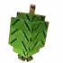 Feijoa
