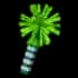 Fireworkfern
