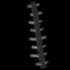 Severedspine