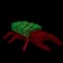 Pine Beetle