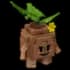 Seedling