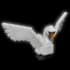 Swan