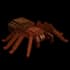 Trapdoorspider