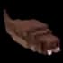Tsuchinoko