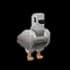 Turtle Dove